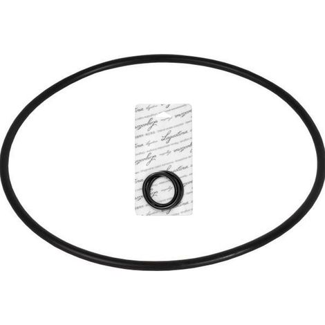 Lagostina guarnizione pentola pressione silicone 22cm