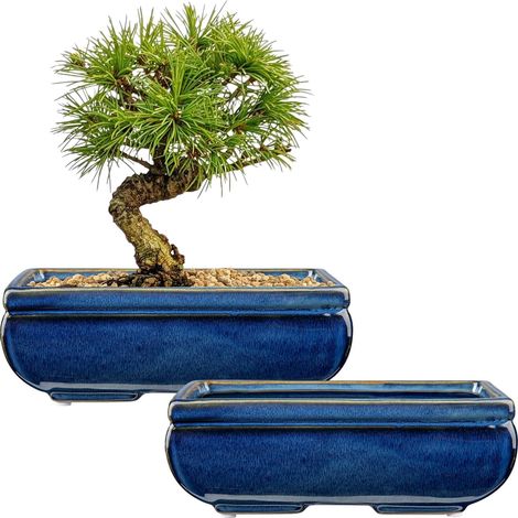 Ensemble de 2 pots de bonsaï en céramique avec trous de drainage pour bonsaïs japonais et plantes d'appartement, décoration rétro pour ensemble de conteneurs de jardin extérieur, diamètre (1/5)