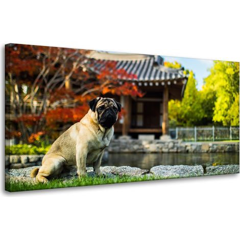 Leinwanddruck „Tier: Mops“ 80 x 40 cm