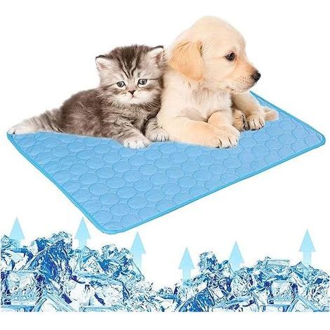 QAZQA Kühlmatte für Hunde und Katzen, 50 x 60 cm, verbesserte Version, hält länger kühl, weiche und strapazierfähige Kühlmatte für Hunde und Katzen, Blau (1/5)
