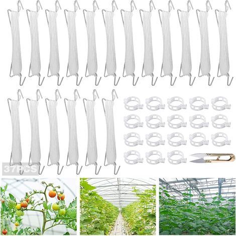 Crochets à Tomates en Métal avec Corde (Blanc) (1/5)