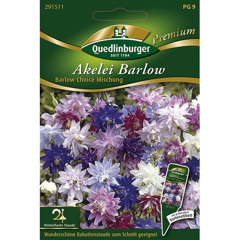 Quedlinburger Saatgut – Ancolie Barlow Choice en mélange – Graines de fleurs, hauteur env. 75 cm, 20 graines