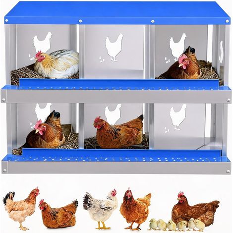 Pondoir Poules 6 Compartiments en Acier Galvanisé - avec Bac de Récupération - Mural ou Posé - 81 x 43 x 67 cm (1/5)