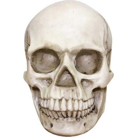 Modelo de cráneo humano de resina para decoraciones de Halloween y Navidad. (1/5)