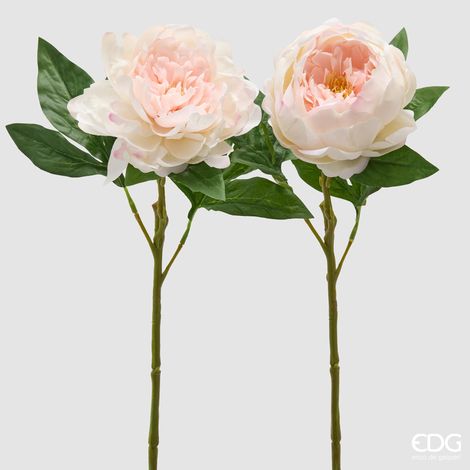 EDG Ramo Peonia Con Foglie Bianco  H 58