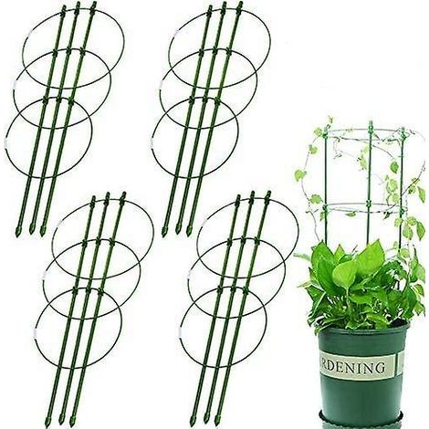 Support Escalade Rotin 631 Support Fleur Fixe 45cmx4-Ensoleillé (1/5)