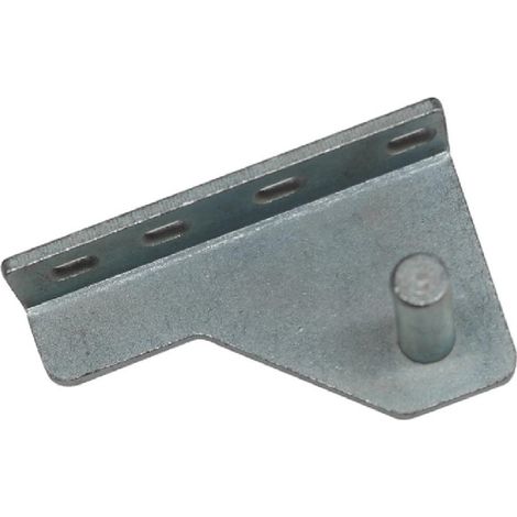 Charnière de porte supérieure gauche - Polar