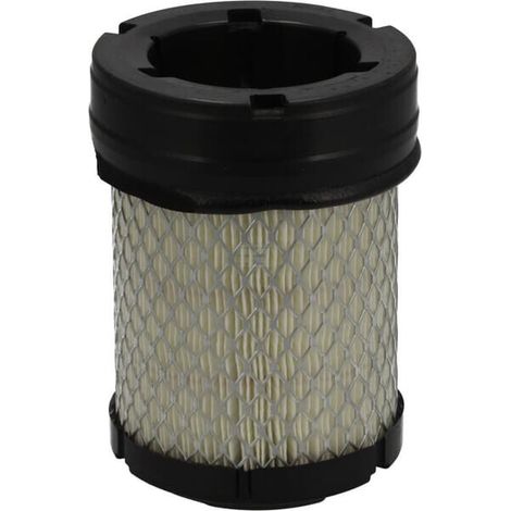 Filtro de aire seguridad DONALDSON P533110 (1/2)