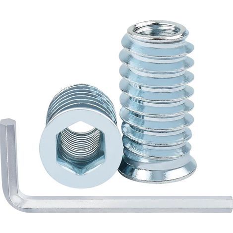 40 Pièces Insert Fileté Bois M6 x 10mm, Inserts M6 D'écrou Borgne Ecrou Hexagonal, Zinc Douille Filetée Insert a Visser Insert Écrous à Visser Fileté, Manchons à Visser Vis Tête Insert Bois (1/5)