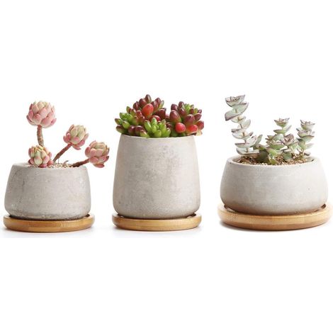 Pots de Succulent Cactus en Ciment NO Plateau en Bambou Série Pots de Fleurs Jardinières Conteneurs Boîtes de Fenêtre Paquet de 3