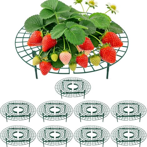 Support pour Plants de Fraises CNNIK, 10 Supports Ronds en Paquet pour Garder Les Baies Hors du Sol, Supports de Jardin réutilisables pour la Culture de Fraises en Plein air (1/5)