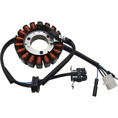 Convient aux aimants de bobine de stator de magnéto Zongshen Cyclone RT3, pièces de moto ZS250T-3XQ250