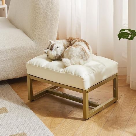 Small Rectangular Faux Leather Ottoman Footstool with Gold Metal Frame Shoe Stool for Living Room Bedroom Entrance Office White YD-JD139W