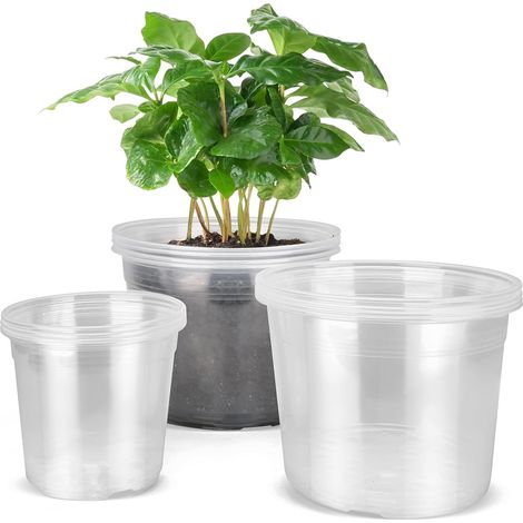 12 pots pépinière plastique transparent drainage diam15/20/24cm semis légumes orchidées intérieur extérieur (1/5)