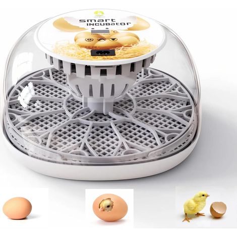 Automatischer Brutapparat für mehrere Eier mit Wendefunktion, hoher Schlupfrate, digitaler Temperaturregelung und 360-Grad-Rundumsicht auf Hühner, Enten, Gänse und Vögel. (1/4)