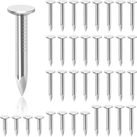 300pcs 1-1/4 pouces acier toit feutre clous galvanisé toit feutre clous à tête plate clous en feutre coulé pour fixer le toit de remise, toit feutre ardoise (1/5)