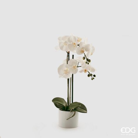 EDG Enzo De Gasperi Orchidea Phalaenopsis Pianta con Vaso e 2 Rami Artificiale H 55 Cm White