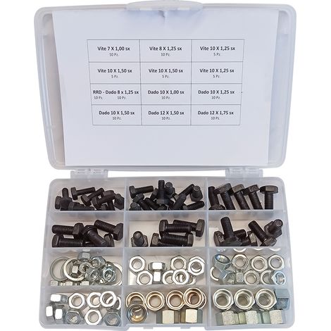ASSORTIMENTO VITI DADI E RONDELLE totale 110 pz