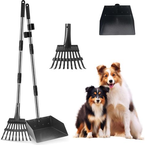 Ramasse Crotte pour Chien, Râteau (1/5)