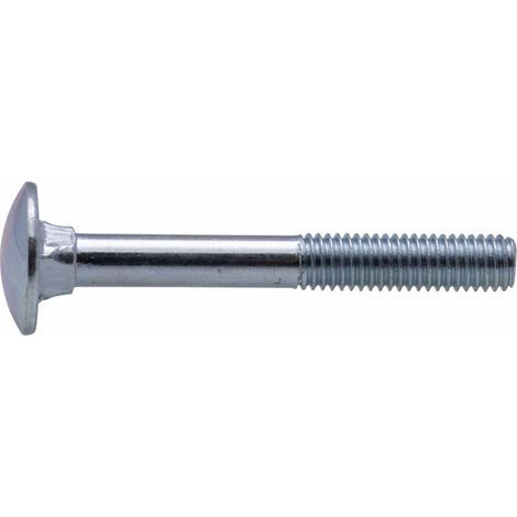 Boulon zingué TRCC Viswood Ø6x60mm (lot de 20 boulons)