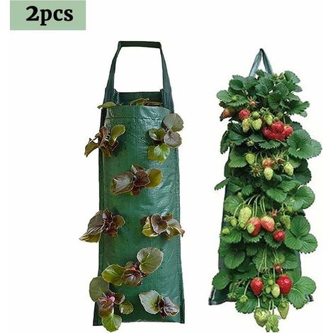 2pcs Sacs de culture de fraises 7025cm Sac de fraises multi-bouche sac de plantation suspendu sac de plantation bac à fleur (1/4)