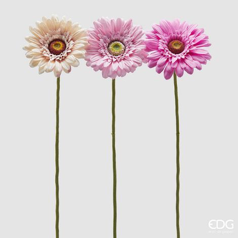 EDG Enzo De Gasperi Gerbera Ramo Ass. H 60 Cm D 12 Cm Pianta Artificiale Rosa Crem 1 Pz
