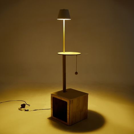 2-in-1 Cat Climbing Frame Floor Lamp (1/4)