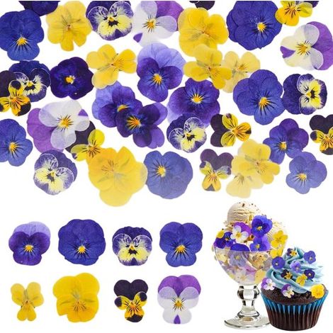96 pezzi, 8 tipi di fiori naturali, secchi e pressati per decorazioni di torte - Mix di viole (Viola Tricolor) per decorare cupcake e cocktail (1/5)