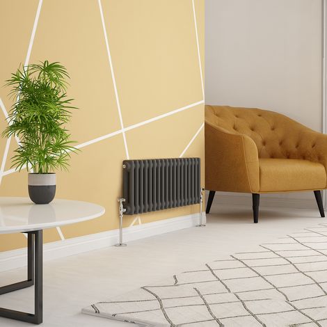 WarmeHaus Traditional Radiator Anthracite Double Panel 300x830mm