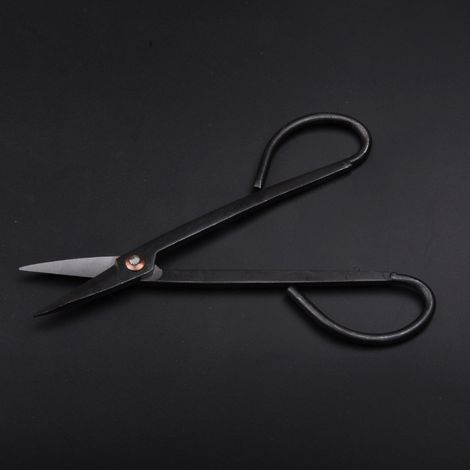 Tijeras de poda para bonsáis, utilizadas para podar ramas. Cuchillo de poda portátil, especialmente diseñado para ramas y hojas pequeñas de bonsáis pequeños. (1/4)