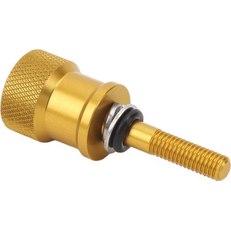 Hochfeste Hecksitzschraube aus Aluminiumlegierung, Schnellverschluss, goldene Mutter für R Nine T (1/5)