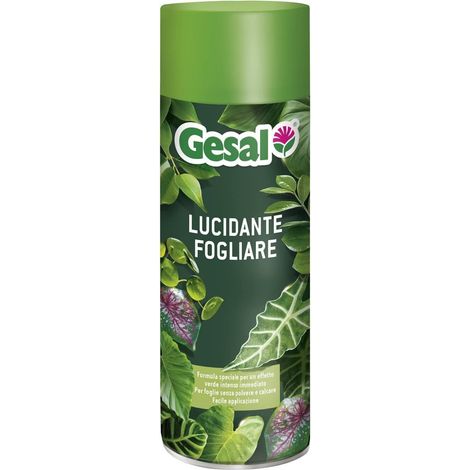 Lucidante fogliare spray – 250ml – GESAL – Foglie brillanti e piante più sane