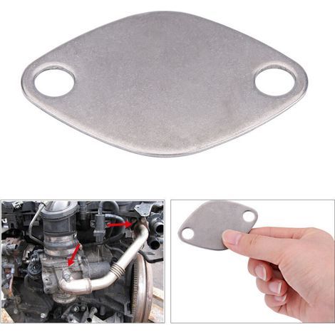 Kit de Plaque d'Obturation de Valve avec Joint 2Pcs Plaque d'obturateur de Vanne EGR Valve Blanking Bloc Assiettes Kit pour Espace Laguna Master Trafic Movano (1/4)