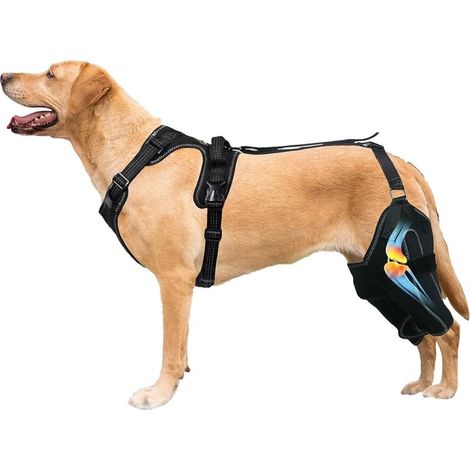 Hüftorthese für Hunde mit verstellbaren Metallstabilisatoren (1/5)