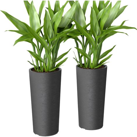 Lot de 2 pots de fleurs empilables avec trous de drainage, 35 x 35 cm, ronds, gris foncé (1/5)