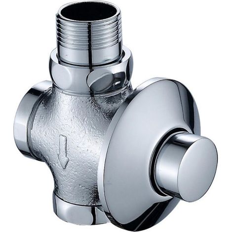 Valve de chasse d'eau Aquaflush à bouton-poussoir, style dissimulé à fermeture automatique (1/5)