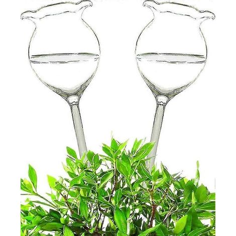 Lot de 2 globes d'arrosage automatiques en verre transparent pour plantes d'intérieur et d'extérieur. (1/5)