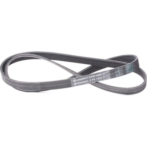Cinghia multi-nervata CONTITECH 6 PK 1460