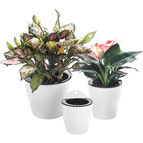 pots de fleurs muraux auto arrosants pour jardin vertical paniers à plantes d'intérieur et d'extérieur suspendus rebord fenêtre Lot de 3 (1/5)
