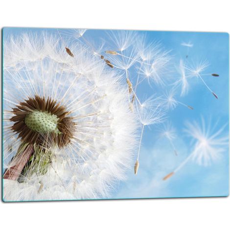 Glasschneidebrett 52x40 Löwenzahn (1/5)
