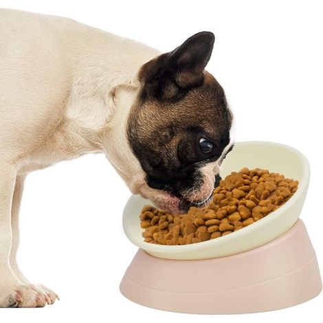 Comedero elevado para perros y gatos de hocico chato: diseño inclinado con base antideslizante.