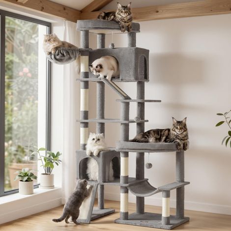 Arbre à Chat XXL, 6 Niveaux, Poteaux Sisal, 105 x 45 x 202 cm (1/5)