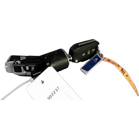 Antivol De Direction PEUGEOT 208 [PRODUIT D'OCCASION]♻️1608682880 (1/3)