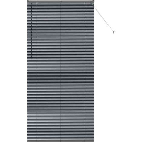Maison Exclusive - Tendaggi a veneziana Grigio scuro 220 x 105 cm Alluminio