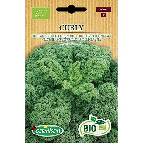 Graines Chou frisé vert demi-haut CURLY (1/2)