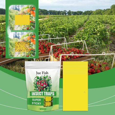 Piège collant jaune double face, attire les petits insectes volants et piège les mouches des fruits – 10 pièces -- DTEKGAZ (1/5)