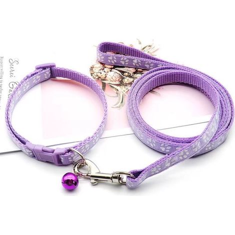 Collier pour chiot avec laisse, réglable, laisse souple en nylon pour chiots et petits chiens, 1,2 m de long, bleu ciel (1/5)