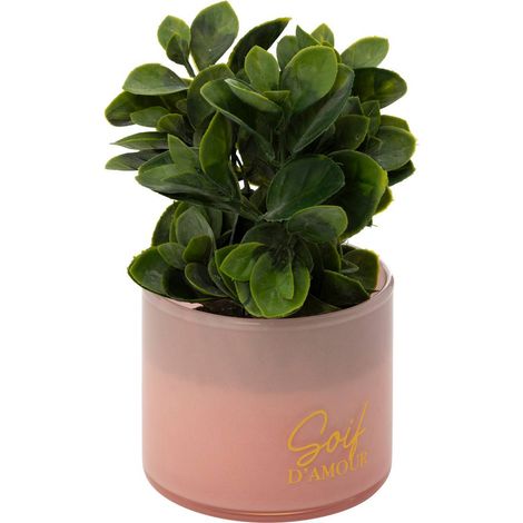 Pianta artificiale in vaso tayli h18cm - Atmosphera créateur d'intérieur