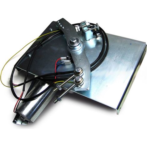AGRADABLE - código SPAMG247B00 Repuesto grupo motor + reductor WIDEL