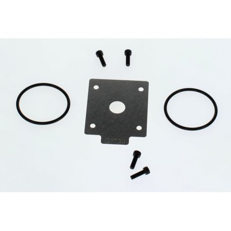 BOSCH Strozzatore gas VR4XX D = 17,30 mm everp, 8738805010